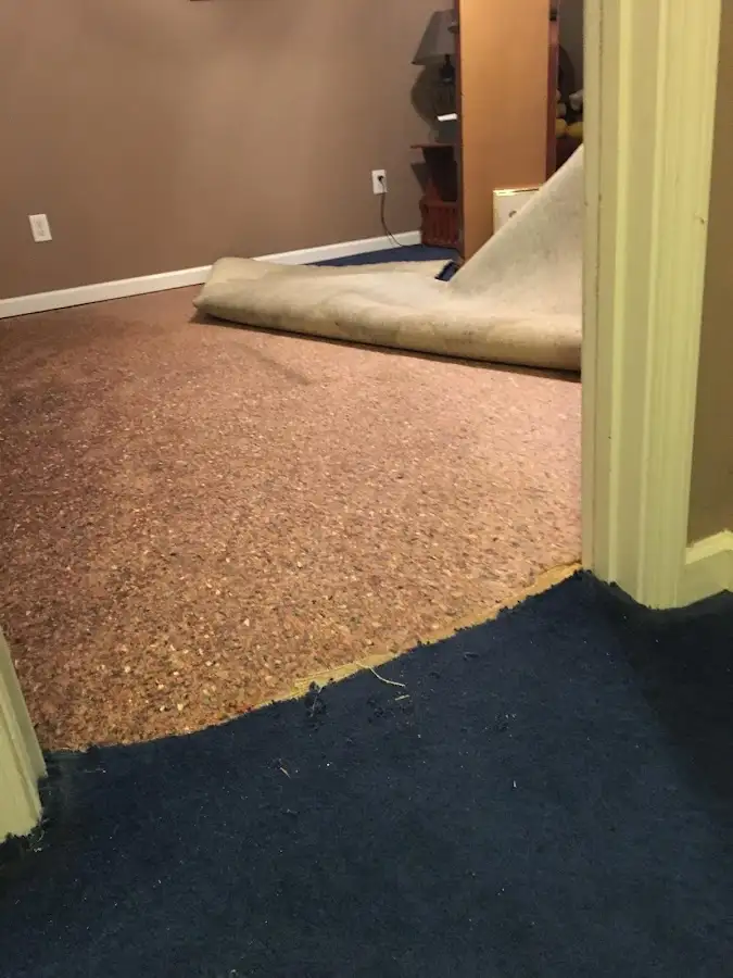 Carpet pad removal revealing water damage during Drying & Dehumidification in Reston
