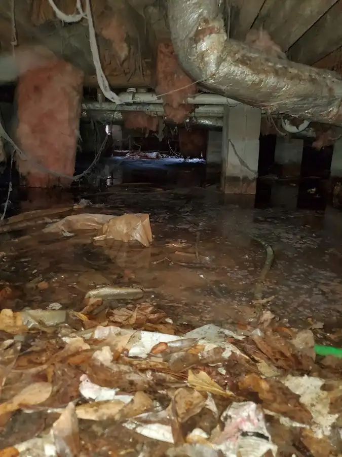 Crawl space flood assessment for Commercial Water Damage Restoration in Reston