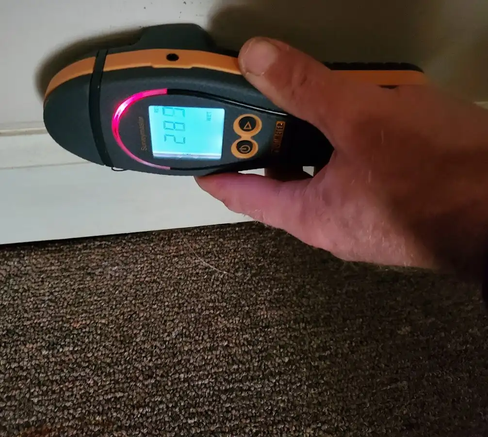 Moisture detection at baseboard during Mold Inspection & Testing in Reston